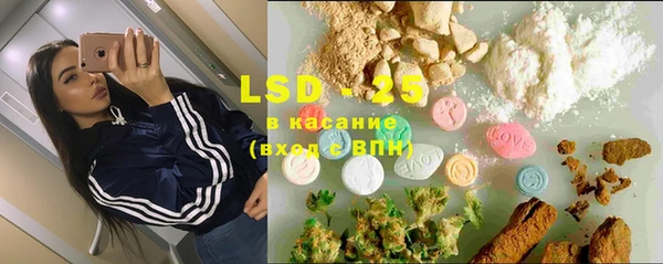 ПСИЛОЦИБИНОВЫЕ ГРИБЫ Майский