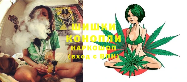 гидра Абаза