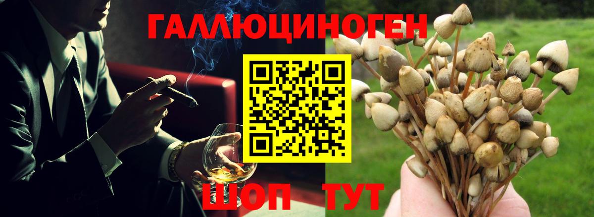 Галлюциногенные грибы мухоморы  Псилоцибиновые грибы Psilocybe  Вход с VPN  Смоленск 